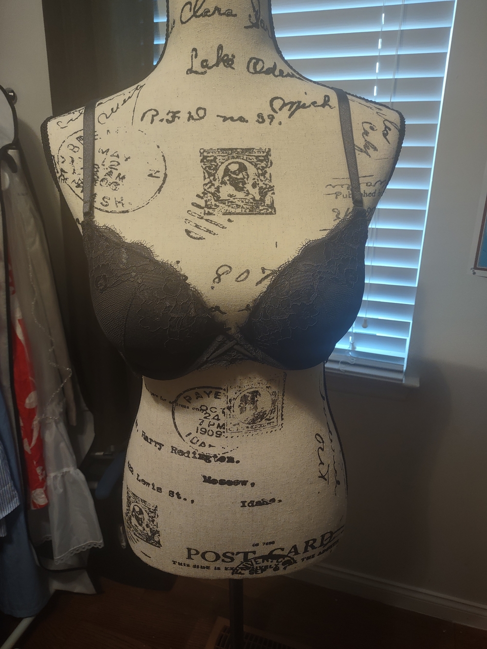 Ambrielle Lace T-Shirt Bra - Charcoal